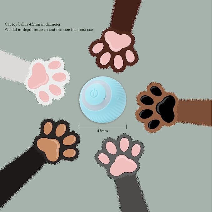 Found Notice Smart Interactive Cat Toy