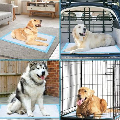 30-Piece: Ownpets Pet Dog Training Pads