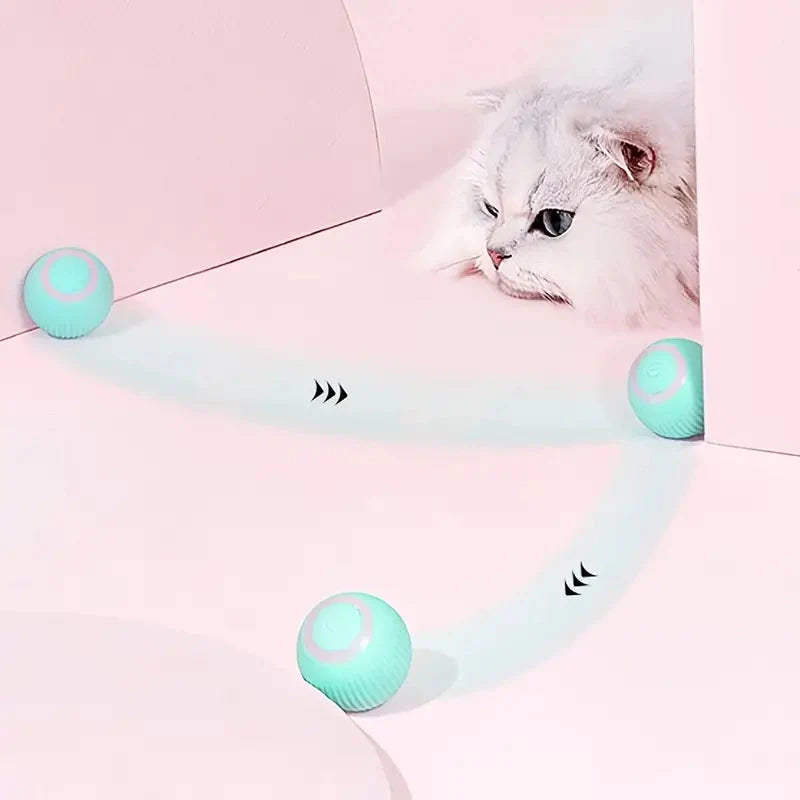 Found Notice Smart Interactive Cat Toy